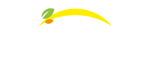Bonduelle - Back to home